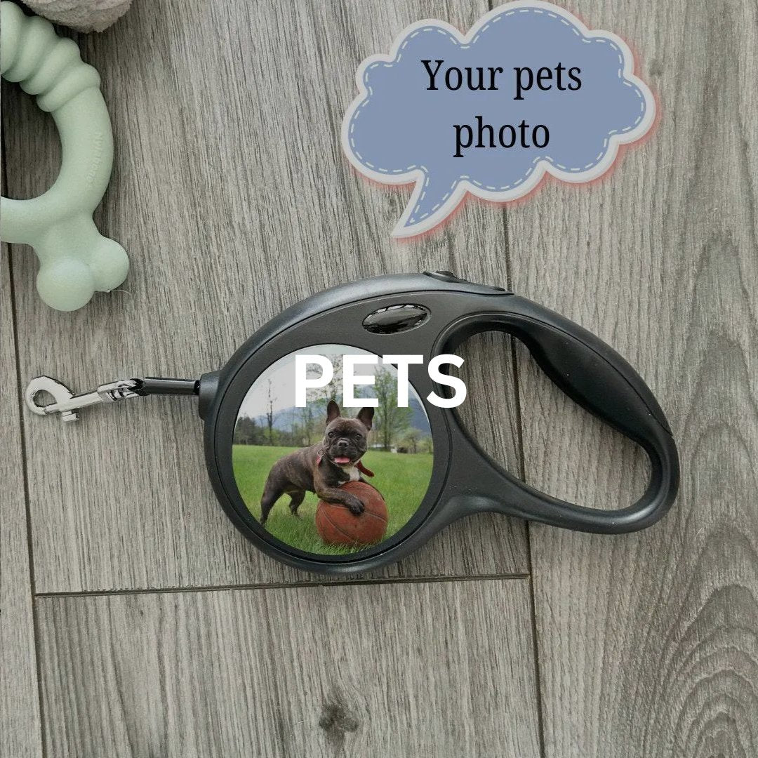 Pet Items