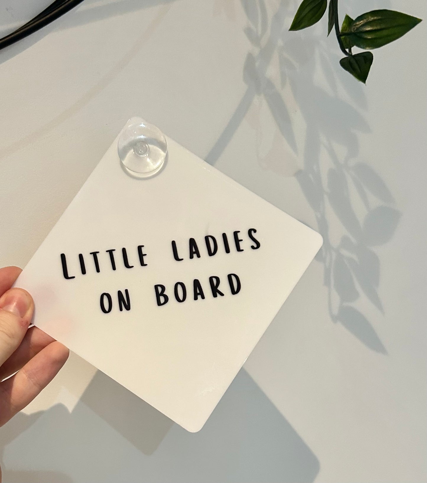 Custom Car Sign, Baby On Board, Children On Board, Child Car Sign, Personalised Car Sign, Custom Wording Car Window Sign