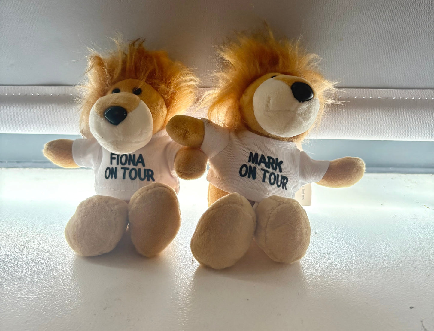 Personalisierter Schwein Schlüsselring, Schlüsselring Geschenk, Schwein Geschenk, Schwein Geschenk, Personalisierter Text Schlüsselring, Geschenk für Sie, Geburtstagsgeschenk, Schweinchen