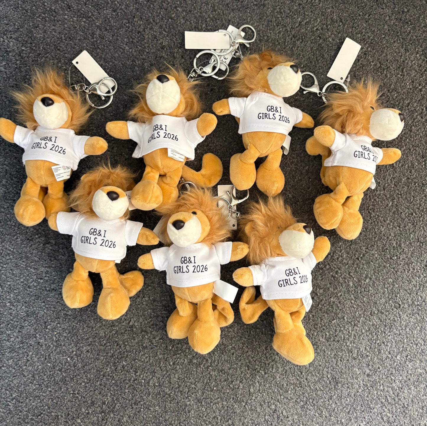 Custom Lion Keyring, Keyring Gift, Lion Gift, Lion Present, Custom Text Keyring, Personalised Lion Keyring, Gift For Her