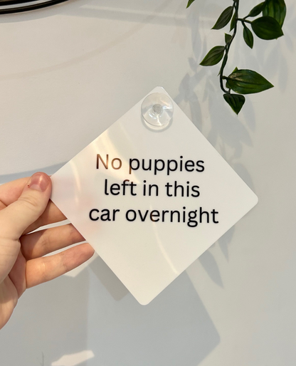 Custom Car Sign, Baby On Board, Children On Board, Child Car Sign, Personalised Car Sign, Custom Wording Car Window Sign