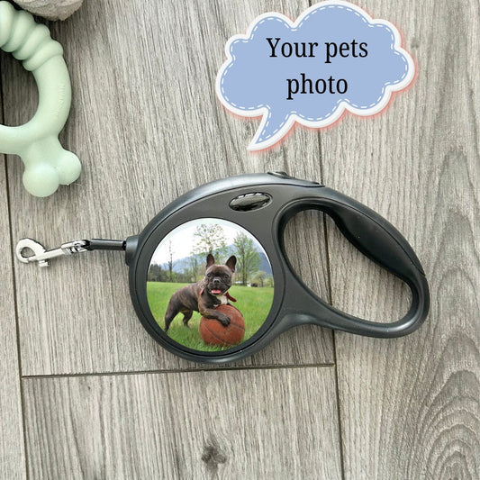 Personalised Retractable Dog Lead, Photo On Lead, Pet Gift, Pet Accessories, Dog Leash, Dog Gift, Pet Lead, Pet Present, Photo On Dog Lead