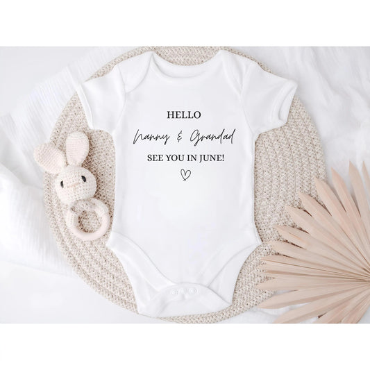Personalised Baby Bodysuit, Hello Nanny and Grandad Outfit, Custom Month Reveal Baby Grow, New Baby Announcement Gift Clothing